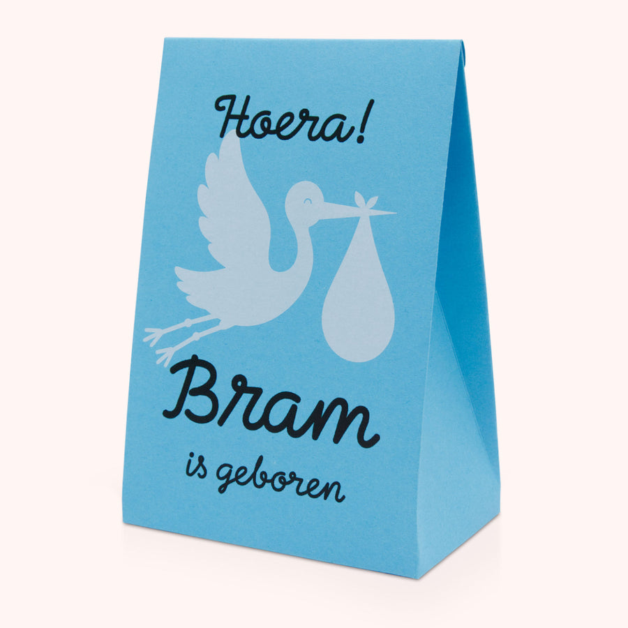 Ooievaar geboorte jongen